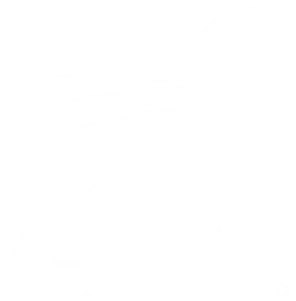 Accurate Fastners logo